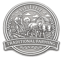 Traditional Farming Methods at Morton Farm