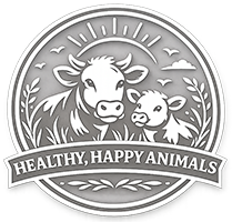 Happy, healthy animals at Morton Farm