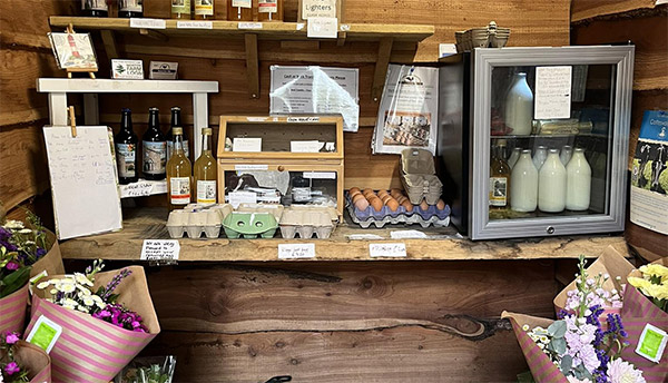 Traditionally Farmed, Ethically Raised — Exceptional Beef, Lamb & Dairy from Morton Farm